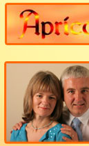 ApricotSunset - Elaine and Tims Website